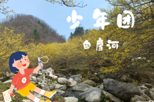 少年团·3.28（周六）：伏牛山|上春山，徒步嵩县白鹰河，赏茱萸花开
