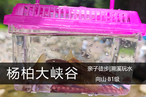 亲子徒步|向山B1级·7.11（周六）：探秘杨柏峡谷，徒步溯溪、小物钓&抓螃蟹