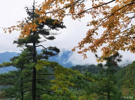 山居2日·10.4-5/5-6/6-7：山河已秋|人间仙境——嵩县白云山，赏伏牛秋色