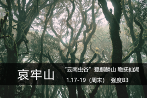 山河·1.17-19：探秘“云南虫谷”哀牢山，登麒麟山、瞰抚仙湖
