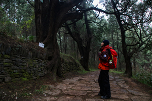 山河·2.20-22（春节）：古道传奇|徒步千年金牛古道——翠云廊
