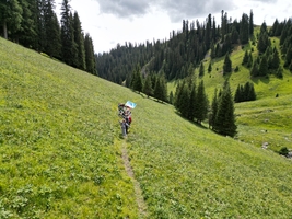 户外侦探家·1日活动5次卡
