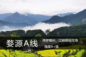 婺源休闲A线·3.14-15/21-22：寻梦徽州|江岭梯田花海，桃源秘境古村