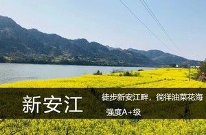 皖南·3.14-15/21-22：寻梦徽州|徒步新安江畔，徜徉油菜花海