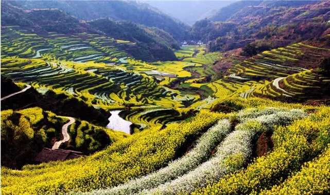 朱虹:草民的“皇宫”——篁岭