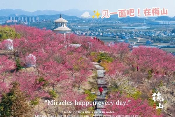 活动报名|宁波市美丽乡村健身行（北仑站）来了！