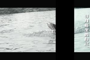 2023铁立方IRONCUBE超级铁人三项赛赛事宣传片