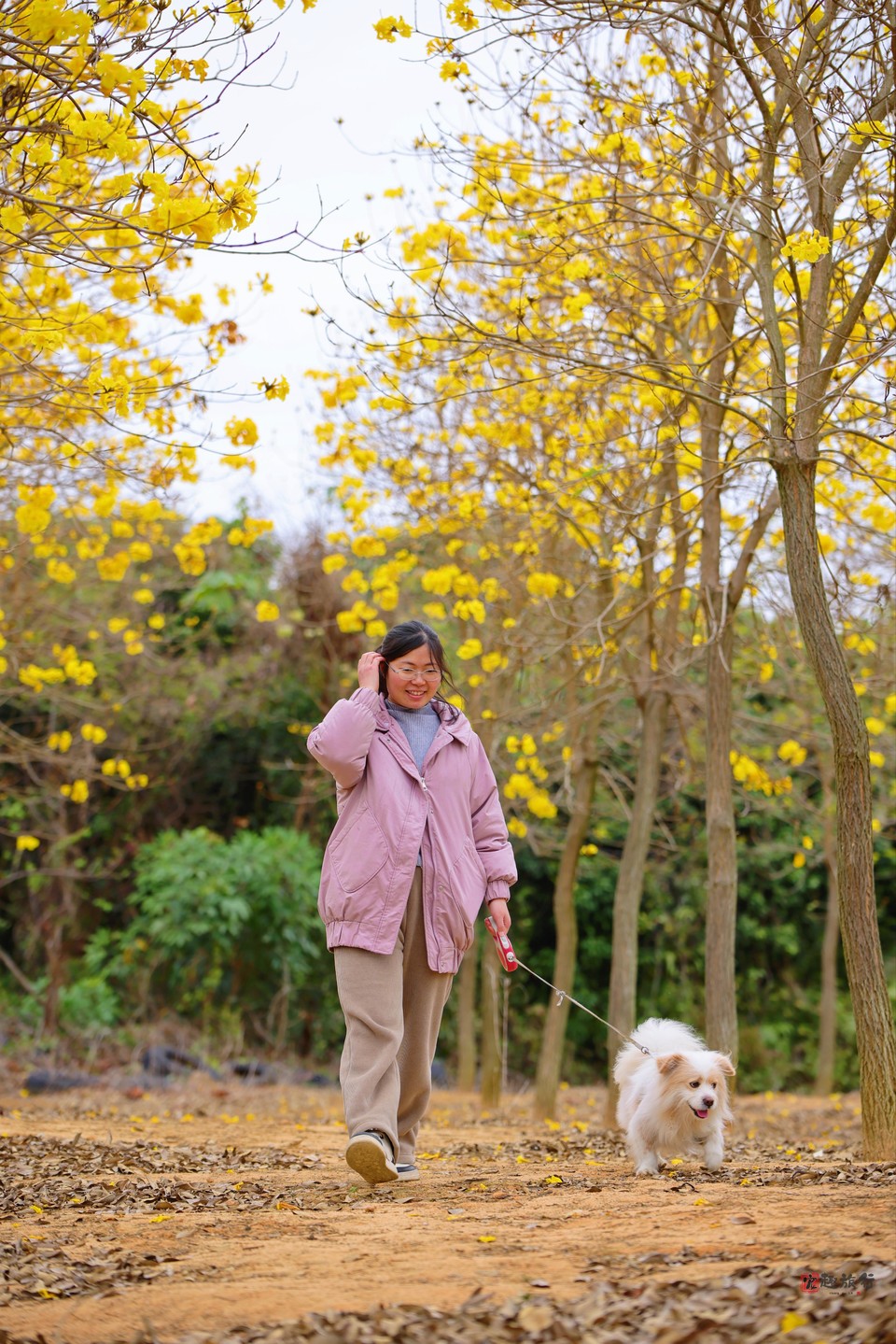 2024_03_04_17_47_IMG_6399