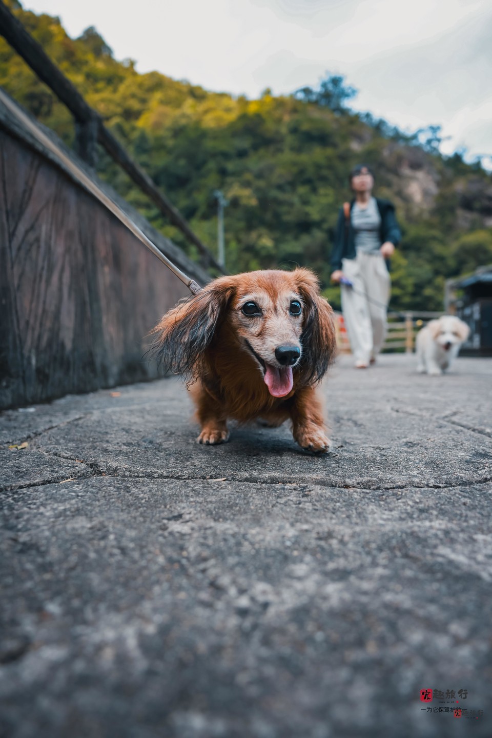 810-73