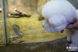 315-183