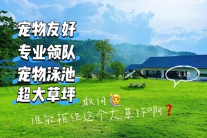 6.19-21端午三天汕尾携宠山野度假｜住进隐世度假酒店，人宠双泳池畅玩一夏