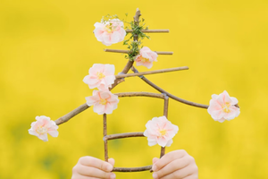 【独立营徒步】3.8周日 | 虎峪梁登高 赏黑河水库碧水荡漾 看早春花开春意萌动