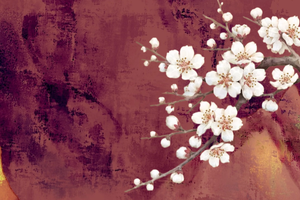 【十二花神系列】3.15周日 | 二月花神杏花之约 山野徒步遇见早春植物 花神仪式 科普 压花相框图 杏花解剖