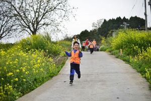 小小树清明营| 4.5-4.6 蜀道春韵与千年历史交织的古蜀道徒步