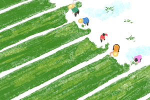 【自然农耕】26.4.6(周一) | 做一日“田园小农夫” 从砌灶到筑篱 给孩子一场真正的自然劳作课