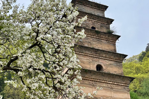 【成人徒步】有风景也有人文的徒步路线 8公里送灯台圣寿寺环穿