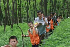 【独立营徒步】4.25/26 | 槐花时节漫步虎峪 绿意盎然与槐花飘香 户外飞盘 绳索攀树 让徒步更好玩