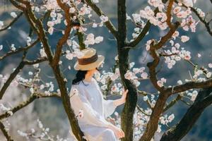 【小小树 妈妈团 秦岭30峰③】3.21（周四）|  华胥杏花谷赏花挖野菜