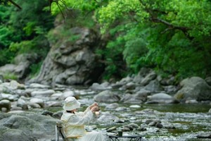 【小小树 妈妈团 秦岭三十11】05.30（周四）| 夏日轻徒步、纳凉、野餐&【无痕山林】主题分享会