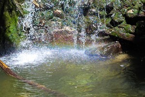 【小小树 妈妈团 秦岭三十峰14】6.25 周二 小众秘境瀑布，开车直达绿野仙踪