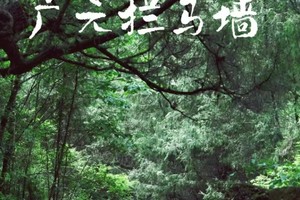 小小树冬令营2025| 1.11-12穿越千年古蜀道徒步 赏一场最浪漫的冬雪