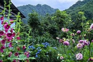 【趣游天下】小小树国庆营| 朝阳村慢时光，邀您共赴一场秋日的温柔邂逅