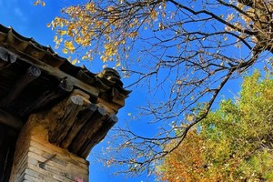 【酷妈成长营 秦岭三十峰15】9月12日（周四） | 趣徒步、捡板栗、寻找山野美味~