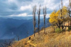 【小小树山野少年】10 .6|国庆假期 探访秦岭最美空中村落 秋季犁辕坪