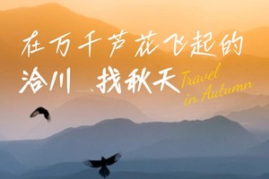 小小树国庆营 | 10.5-10.6 在最美洽川找秋天：挖藕、钓龙虾、抓螃蟹、温泉游泳、摘脆柿