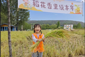 小小树节气生活 | 10.13秋日丰收季 割水稻、拔花生、烤红薯 体味劳动和收获的快乐