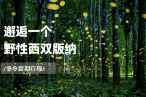 【趣游天下】小小树冬令营| 1.14-1.19邂逅一个野性西双版纳