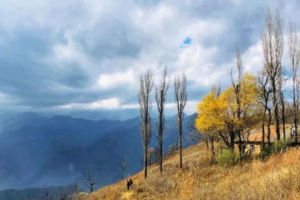 小小树山林徒步| 12.14 冬日探秘秦岭最美空中村落犁辕坪 赏高山芦苇荡