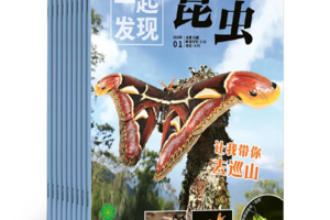 小小树开团| 重磅新刊《一起发现昆虫》带孩子畅游昆虫世界，纵享视觉盛宴！