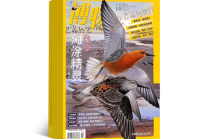 小小树开团 |适读群体非常广泛，只要对科普读物感兴趣，下到不会走，上到九十九，都可以看《博物》！