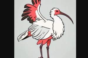 观鸟系列课程 | 2025.1.10/1.11周五周六 亲近自然 探索飞羽精灵的奇妙