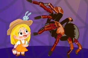 博物人文 | 2.12 元宵节  和毛小蛛交个朋友