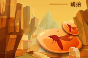 25.3.2周日 西大博物馆 全新体验远古遗珍--琥珀