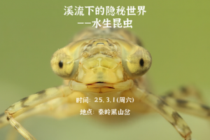 25.3.1 周六 初春探秘溪流下的隐秘世界--水生昆虫