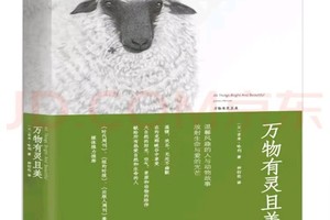 小小树成人读书会第4期--《万物有灵且美》