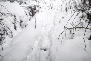 【亲子徒步】3.8周六 在春天去邂逅秦岭的雪谷 亲子戏雪赏雾凇景观