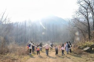 【小童节气野徒】3.9周日 惊蛰时节 我们努力的爬上一座海拔1400米的高山