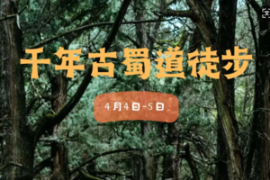 小小树清明营| 4.4-4.5 徒步千年古蜀道金牛道 在历史与自然里穿梭