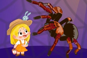 3.23（周日）和毛小蛛交个朋友