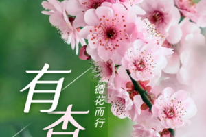 【植物观察&写绘】 3.22周六 | 天顶山拜访早春植物 写绘杏花自然笔记