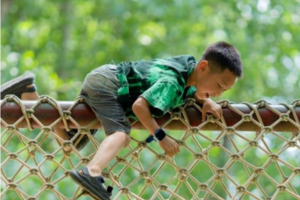 【营地活动】3.29周六|春日趣踏青 种甘蔗 荒野厨房 森林游乐场 蜜蜂的一生 抓鸡大赛