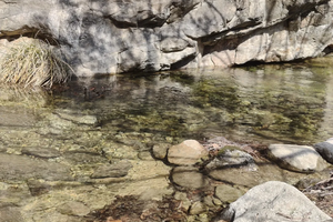 羊峪戏水赏棣棠花 徒步-三星团体定制