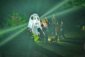 【昆虫系列课程】4.12周六晚 | 灯诱探索鳞翅目飞蛾的世界 迎着朝阳徒步看紫荆