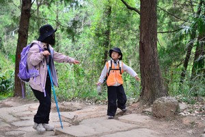 【暑期营】 6.28-6.29 徒步千年古蜀道金牛道 在历史与自然里穿梭