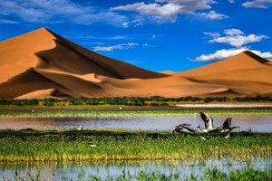 【小小树五一营】5.1-5.4 | 腾格里沙漠徒步毅行挑战 用脚印丈量天地 在星空下见证成长