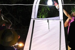 【昆虫系列课程】4.19-4.20 | 灯诱探索鳞翅目飞蛾的世界 错峰观赏秦岭的最后一期紫荆花海